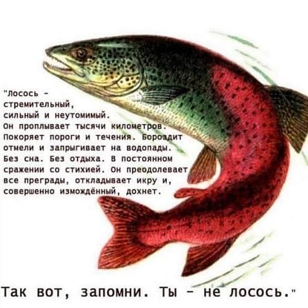 Давай поговорим про любовь
